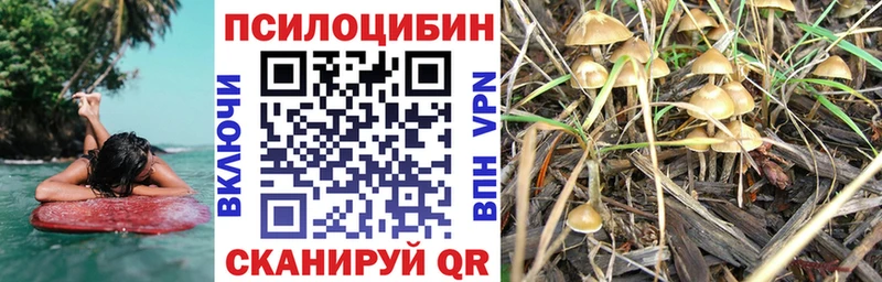 МЕГА как зайти  Лакинск  Псилоцибиновые грибы мицелий 